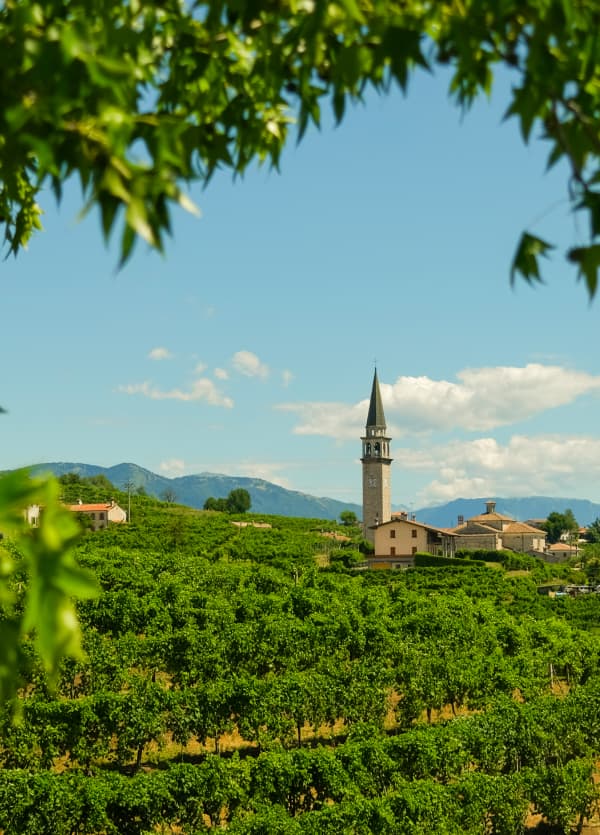Church in the vineyards, Italy 2026