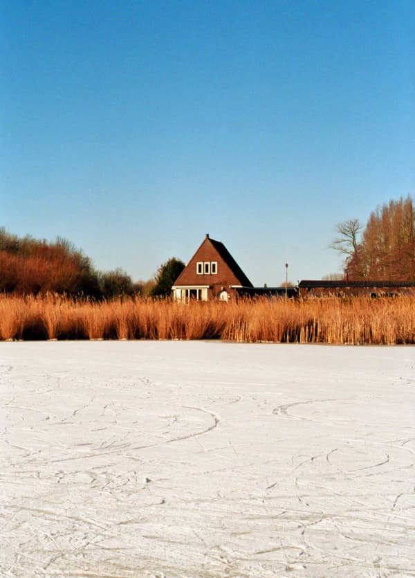 Frozen morning, Netherlands 2021