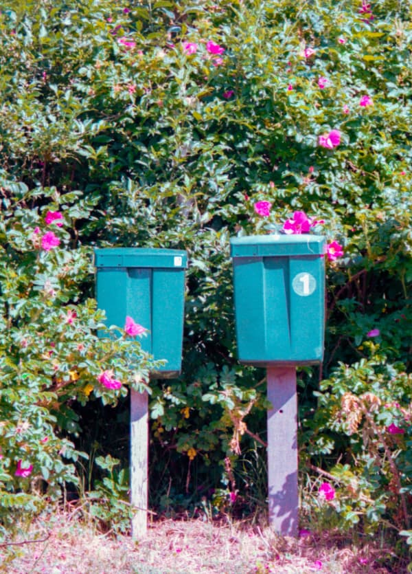 Mailboxes in bloom, Netherlands 2021