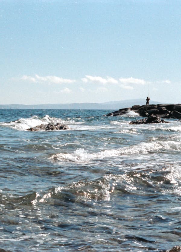 Sea fishing, Saint Tropez 2020